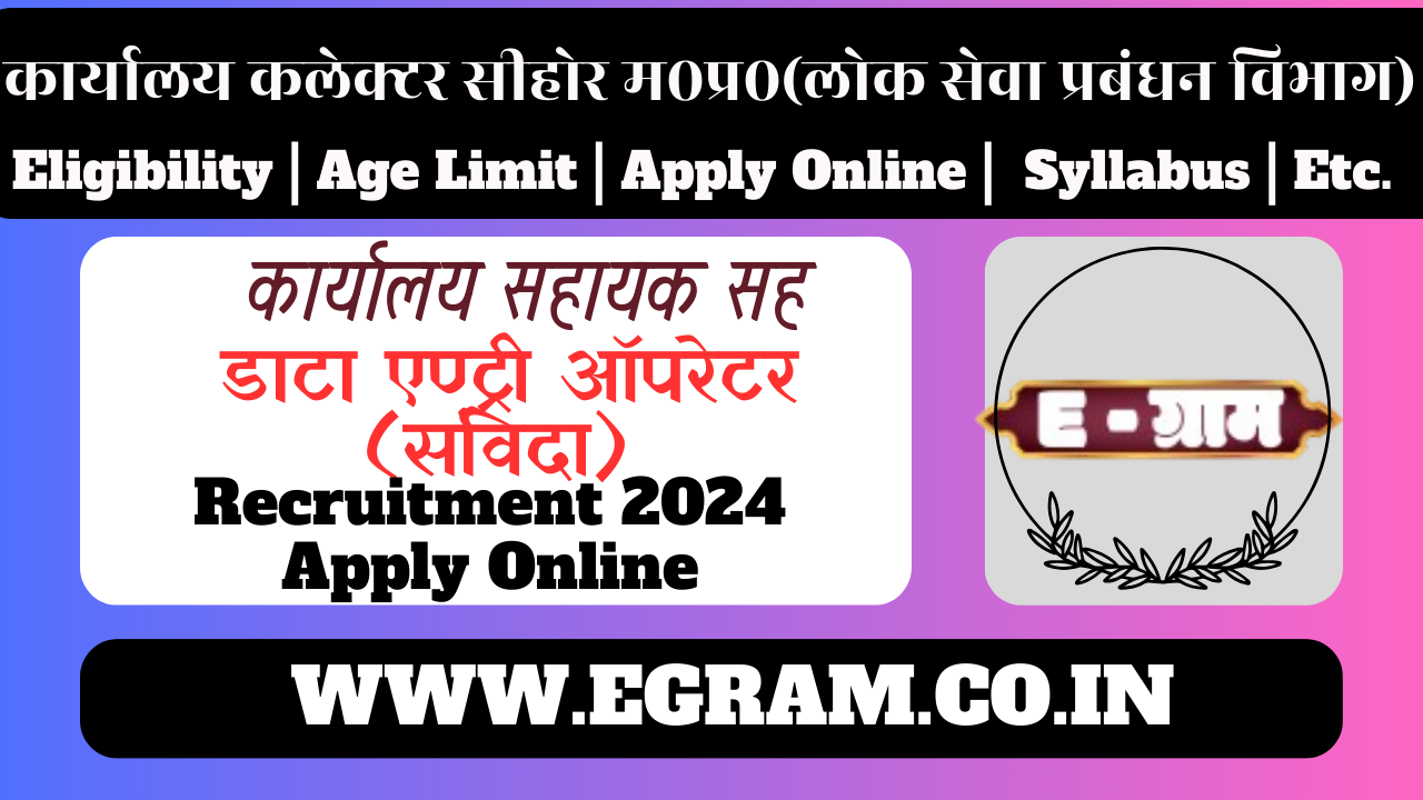 data entry jobs in sehore | जिला कलेक्टर कार्यालय सीहोर मे राजस्व विभाग अंतर्गत लोक सेवा प्रबंधन के प्रभावी क्रियान्वयन हेतु कुल 02 पदो की पद पूर्ति हेतु संविदा आधार पर नियुक्ति